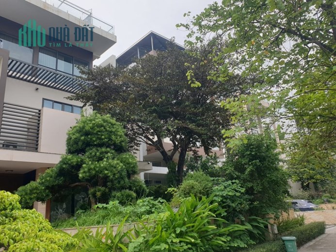 💥 Biệt thự VIP Q34 (M3) Khu đô thị Ciputra, Phú Thượng, Tây Hồ, 400m2 4T MT 12m, Chỉ 120 Tỷ 💥