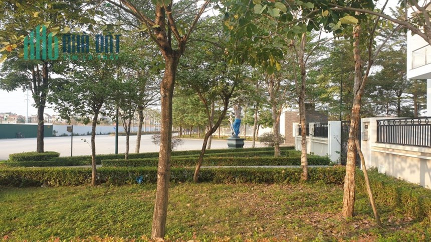 💥 Biệt thự VIP K1 Khu đô thị Ciputra, Phú Thượng, Tây Hồ, 336m2 3T MT 10m, Chỉ 134 Tỷ 💥