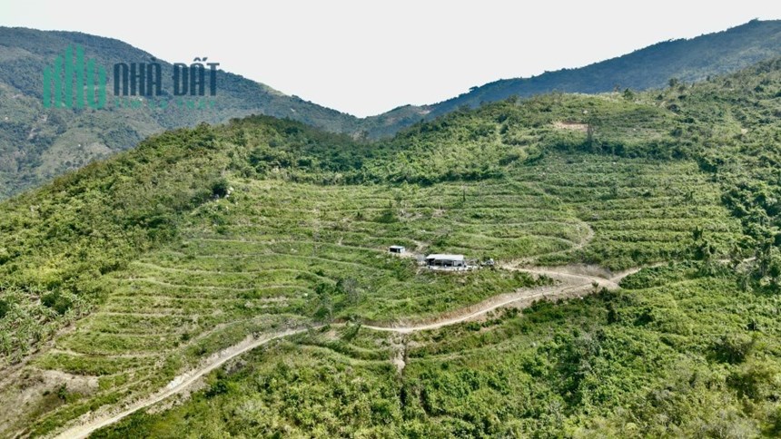 Bán 3 hecta Diên Diền, Diên Khánh đang cải tạo tặng 1 trại trị giá 200tr