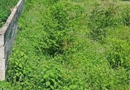 CẦN BÁN ĐẤT GẦN CHÙA KIM TIÊN , XÃ AN PHÚ HUYỆN TỊNH BIÊN ,TỈNH AN GIANG
