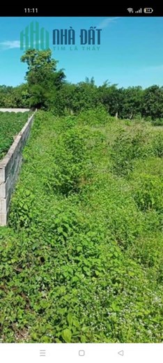 CẦN BÁN ĐẤT GẦN CHÙA KIM TIÊN , XÃ AN PHÚ HUYỆN TỊNH BIÊN ,TỈNH AN GIANG