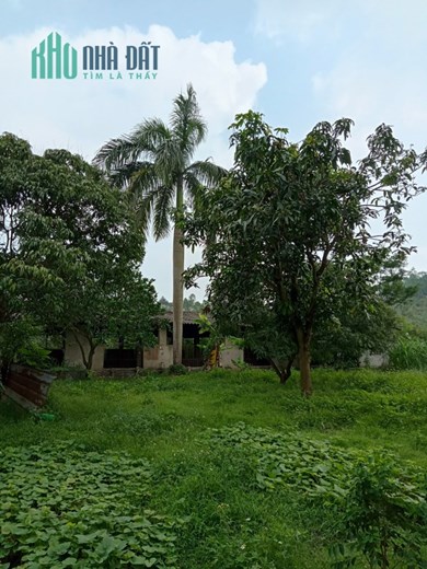 Chính chủ cần bán nhanh đất trang trại 150m, mặt đường 52m khu đô thị đại học