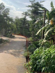 Chính Chủ Cần Bán Lô Đất Vị Trí Đẹp Tại Đồng Nai