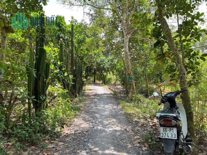 CHÍNH CHỦ bán 3 nền thổ cư mặt tiền bờ sông Mỹ Thọ, huyện Cao Lãnh