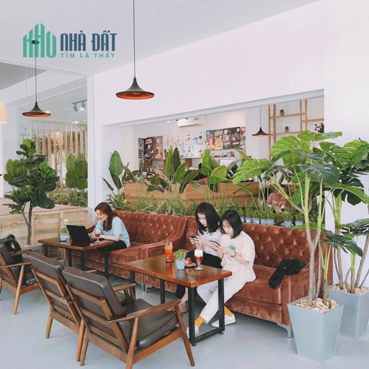 Bán nhà phố Trần Quốc Hoàn, lô góc đang cho thuê kinh doanh, 62m2, 5 tầng, 29 tỷ