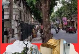 A nhà phố Lý Nam Đế, 55.5 tỷ, 80m2*8T, THANG MÁY, BUILDING VP ĐẸP, XỊN PHỐ VIP,THÔNG SÀN, 2 MẶT