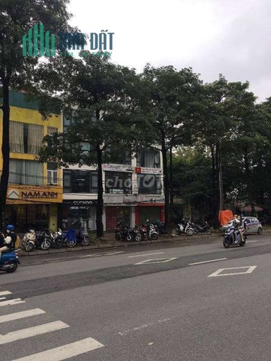 Cần cho thuê nhà 57D Đường Mễ Trì Phường Mễ Trì Nam Từ Liêm Hà Nội