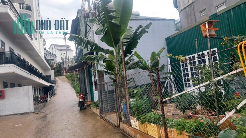 Bán đất 75m2 sổ riêng nông nghiệp, đườngTrạng Trình, Phường 9,  Đà Lạt