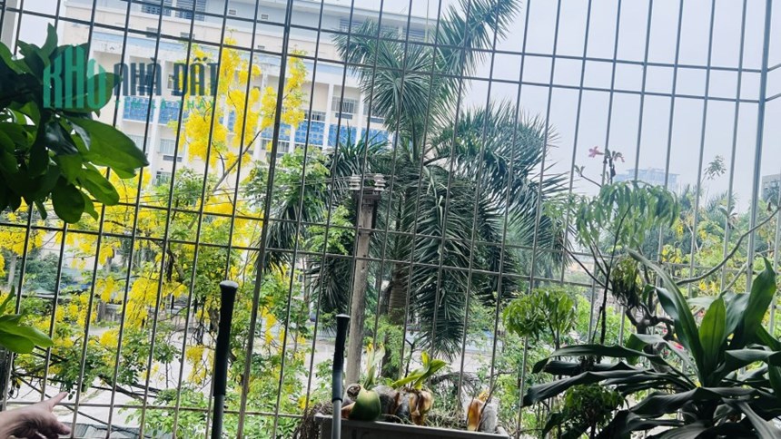 Bán nhà phân lô khu TT Văn Hoá Nghệ Thuật Mai Dịch