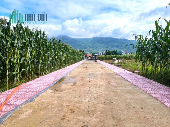 Đât Nên Gần KCN Đại Lộc Chỉ 350tr