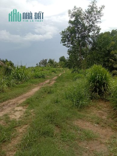 Sở Hữu Ngay Lô Đất Vị Trí Đẹp Tại Châu Thành , Trà Vinh - Giá Cực Rẻ