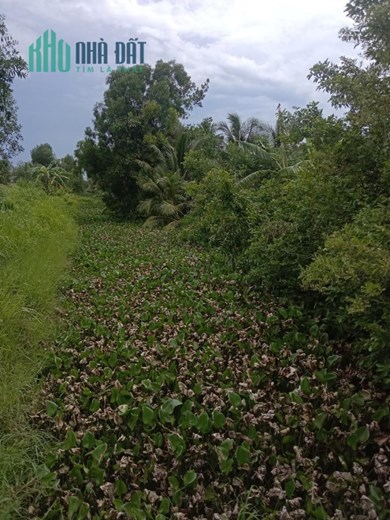 Sở Hữu Ngay Lô Đất Vị Trí Đẹp Tại Châu Thành , Trà Vinh - Giá Cực Rẻ
