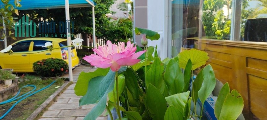 CẦN BÁN NHÀ ĐẤT XÃ BÌNH KIẾN, TP TUY HOÀ TỈNH PHÚ YÊN