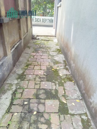 Bán gấp nhà C4 MT 8m ngõ Cầu Cốc giá 3,3 tỷ, 80m2, Ô tô đỗ gần