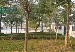 💥 Biệt thự VIP K1 Khu đô thị Ciputra, Phú Thượng, Tây Hồ, 336m2 3T MT 10m, Chỉ 134 Tỷ 💥