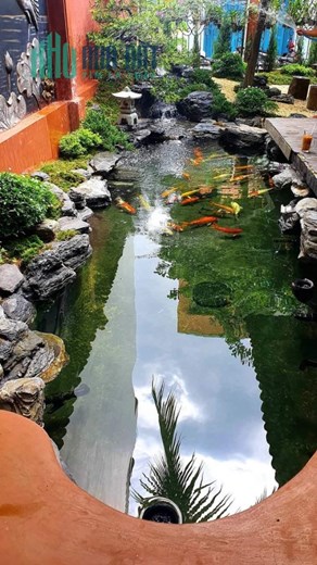 Thiết Kế Thi Công Sân Vườn Hồ Cá Koi