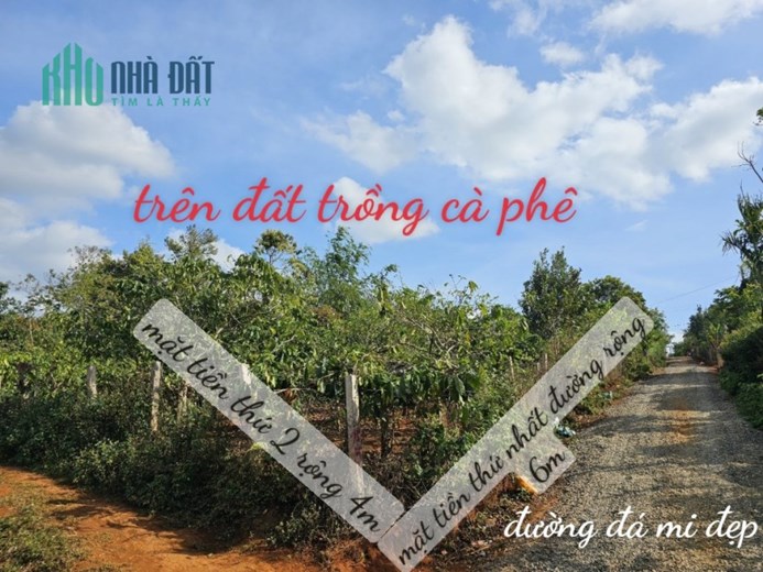 BÁN 3 LÔ LIỀN KỀ SIÊU ĐẸP XÃ CƯ NÉ, HUYỆN KRÔNG BUK, ĐẮK LẮK - GIÁ ĐẦU TƯ F0