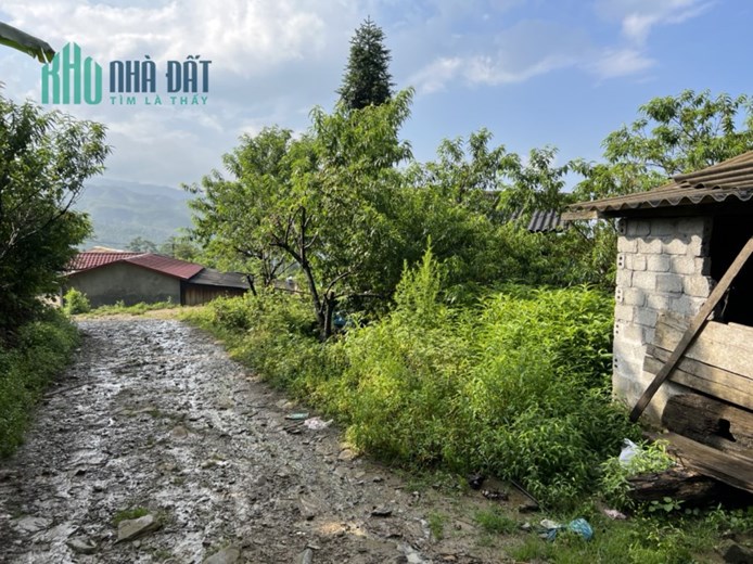 Chính chủ thanh khoản lô đất giá đẹp trung tâm quy hoạch Y Tý ( Sapa2)