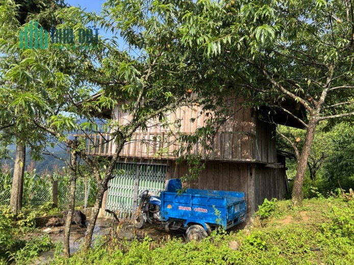 Chính chủ thanh khoản lô đất giá đẹp trung tâm quy hoạch Y Tý ( Sapa2)