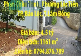 Bán nhà và vườn măng cụtĐường Phan Châu Trinh, Phường Lộc Tiến, Bảo Lộc, Lâm Đồng