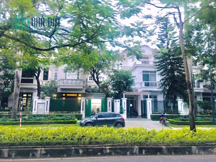💥 Biệt thự D4 KĐT Ciputra, Phú Thượng, Tây Hồ, 208m2 3T MT 9m, Chỉ 65 Tỷ 💥