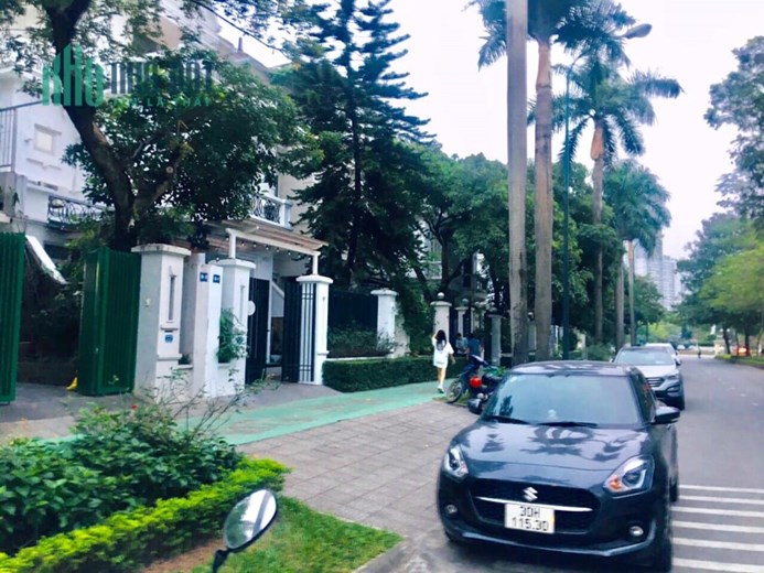💥 Biệt thự D4 KĐT Ciputra, Phú Thượng, Tây Hồ, 208m2 3T MT 9m, Chỉ 65 Tỷ 💥