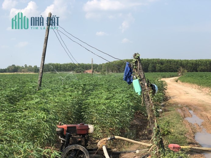 GẤP LẮM RỒI! Hơn 3 sào đất nông nghiệp chỉ 398 triệu/sào