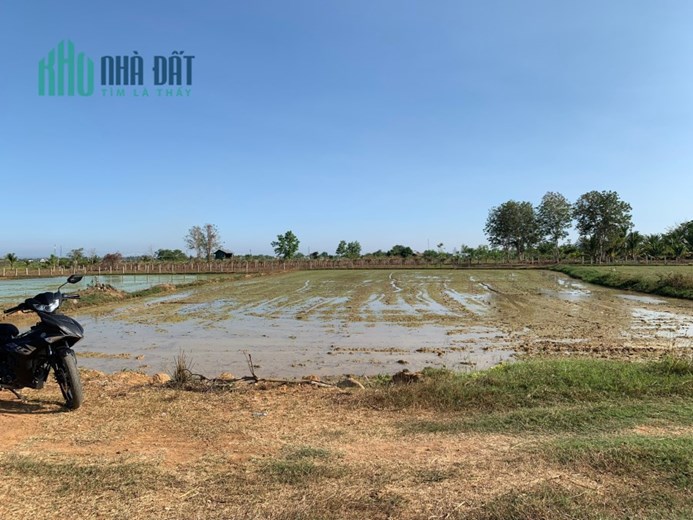 Chủ cần bán lô đất thuộc Thuận Minh, Hàm Thuận Bắc, Tỉnh Bình Thuận .