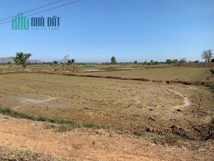 Chủ cần bán lô đất thuộc Thuận Minh, Hàm Thuận Bắc, Tỉnh Bình Thuận .