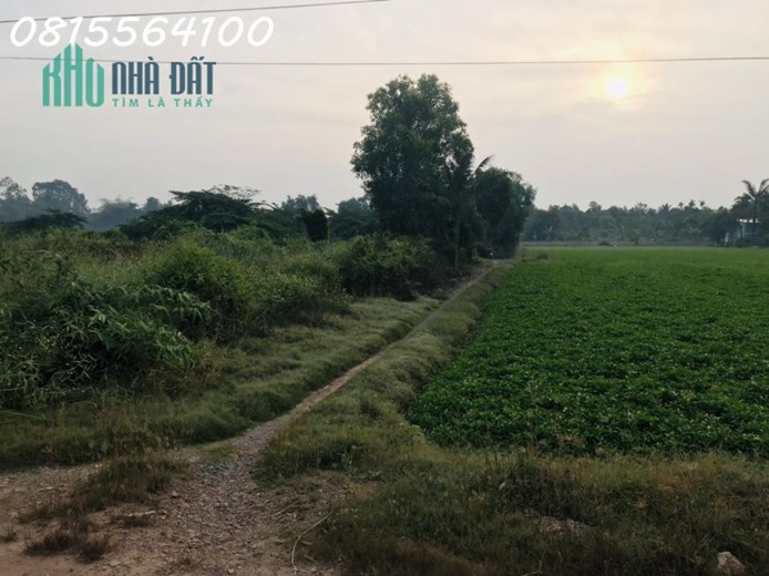 Bán đất thạnh xuân 52, Quận 12 - DT: 45x155m. Tổng 7300m² - 52 tỷ