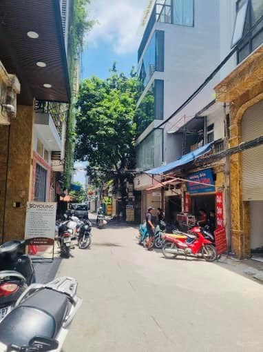 Bán nhà phố Cát Linh, Đống Đa, Hà Nội. Ô tô, thang máy, siêu KD, 70m² x 8T, MT 4,2m. Chỉ 28,5 tỷ.