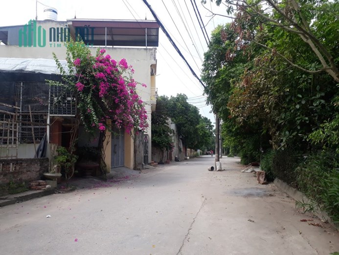 Bán đất nông nghiệp , xen kẹt Tả Thanh Oai - Thanh Trì nguồn hàng đa dạng