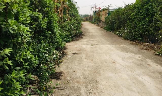 Bán đất nông nghiệp , xen kẹt Tả Thanh Oai - Thanh Trì nguồn hàng đa dạng