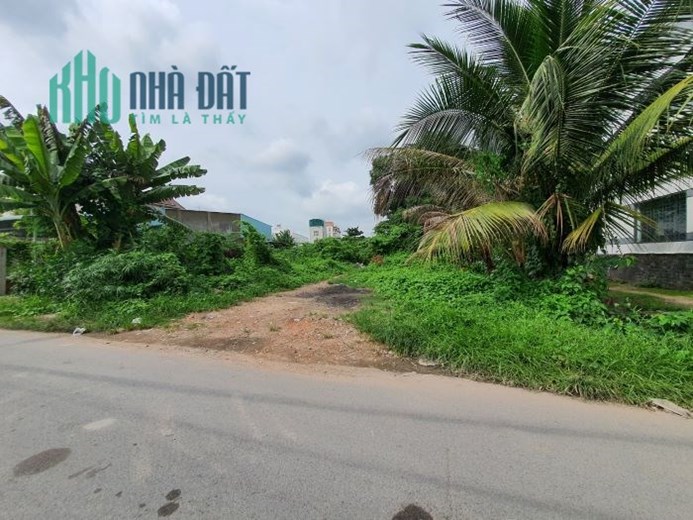 Cho thuê đất 1800m2 đường 36 Linh Đông