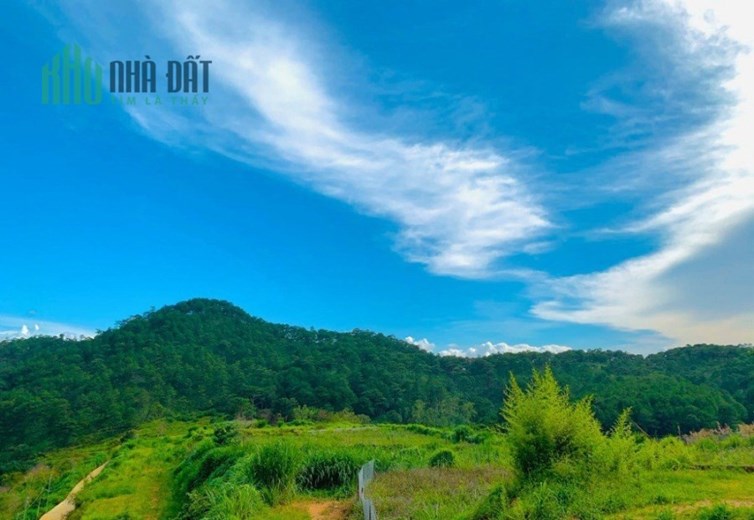 Bán nhà mặt tiền kinh doanh Quốc lộ 26, gần UBND dân huyện M'Đrắk.Đắk Lắk