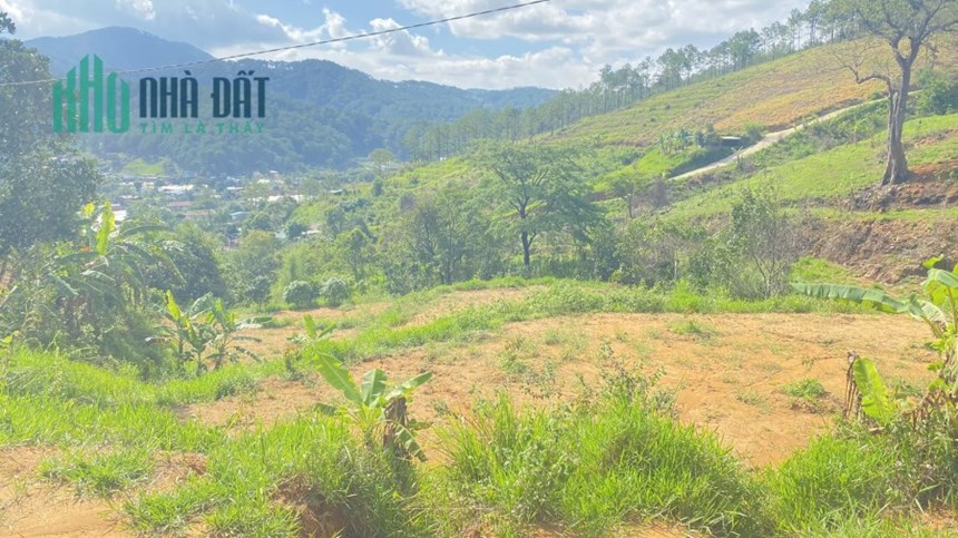Bán 4,1 sào ( giấy tay )đất hẻm oto thuộc hiệp an, đức trọng 2 tỷ/sào