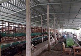 ⭐Cần bán nhanh đất DT 1.534m2 (Ngang 18,5. Dài 83)  gồm: Trang trại nuôi dê 666m; 0969379587