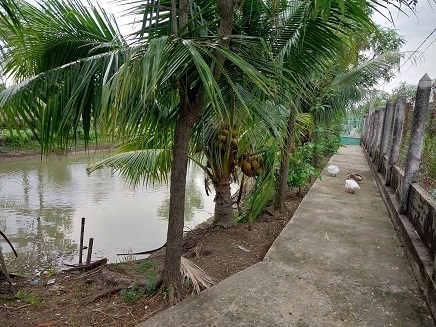 ⭐Cần bán nhanh đất DT 1.534m2 (Ngang 18,5. Dài 83)  gồm: Trang trại nuôi dê 666m; 0969379587