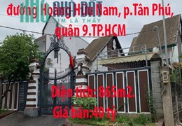Chính chủ bán nhanh biệt thự đẹp 865m2 đường Hoàng Hữu Nam, phường Tân Phú, quận 9.TP.HCM