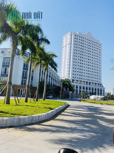 Mình cần bán gấp căn chung cư Euro Window Thanh Hoá giá rẻ hơn thị trường 200 triệu liên hệ
