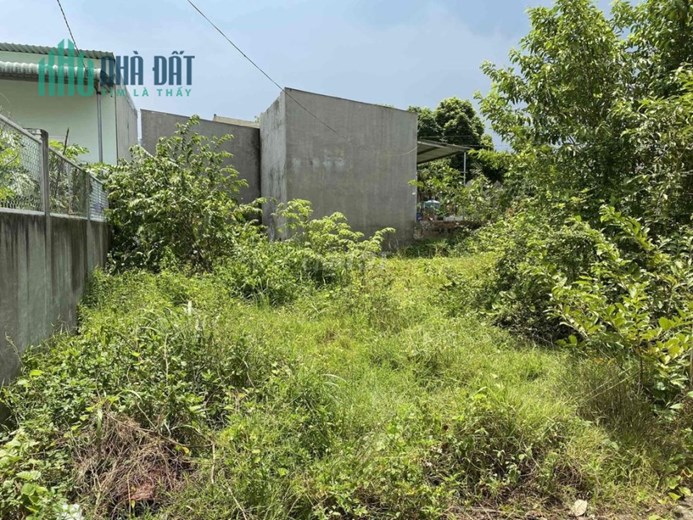 Bán lô đất đẹp Đường Đinh Quang Ân, Phường Phước Tân, Thành phố Biên Hòa, Đồng Nai