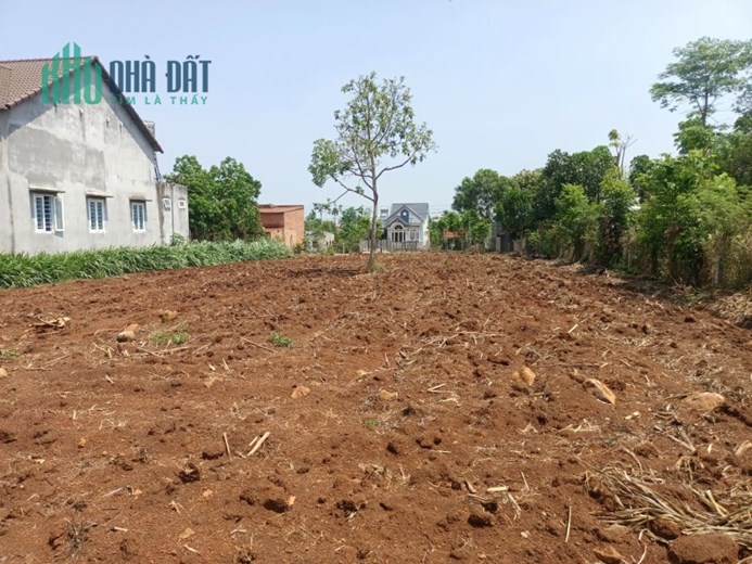 Sở Hữu Ngay LÔ ĐẤT CHÍNH CHỦ Tại Xóm Nghệ - TP Buôn Ma Thuột- Tỉnh Đăk Lăk