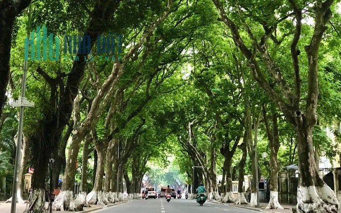 Bán nhà mặt phố Phan Đình Phùng, thửa đẹp, mặt tiền 7m vừa ở vừa kinh doanh ngày đêm vô đối,