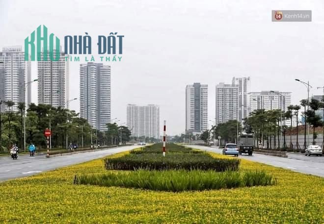 Bán nhà Nguyễn Văn Huyên, Cầu Giấy. 82m2; giá 15 tỷ. Phương