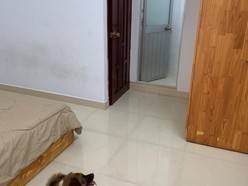 Cho thuê nhà nguyên căn 322/2A Cách Mạng Tháng 8, Phường 10, Quận 3