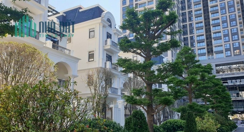 Biệt thự đơn lập 300m2 đẹp cho người "Sành"