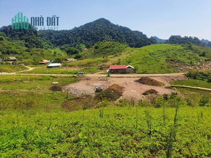 Mảnh đất 2,2 ha vị trí đẹp nhất bản người Mông nguyên thuỷ ở Mộc Châu