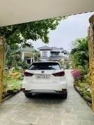 Cần bán Xe Lexus RX 350 2022 Tam dương Vĩnh Phúc