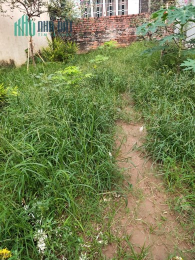 Bán Đất Phú Diễn, Ngõ Thông, 2 Thoáng,  Ô Tô Đỗ Cách 30M, Giá Đầu Tư, DT 58m. Giá 3 Tỷ 4.