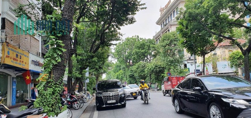 Siêu phẩm mặt phố Quang Trung, Hoàn Kiếm 26m, MT5.2m, ô tô, KD, nhỉnh 26 tỷ. LH: 0366051369